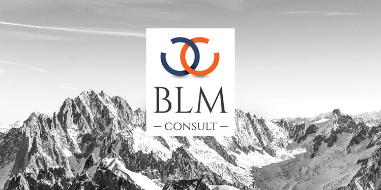 BLM Consult - Brand Identity