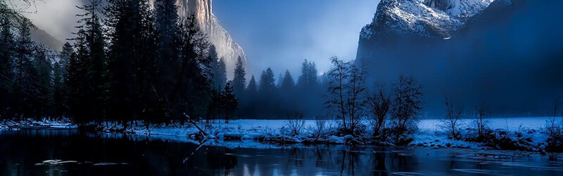 gold-nuggets_800x250