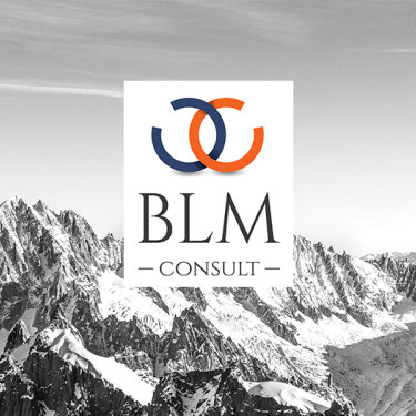 BLM Consult - Brand Identity