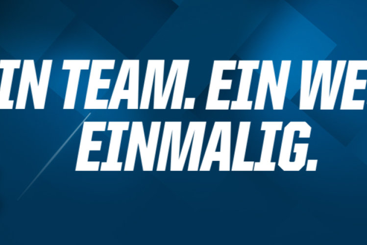 TSG Hoffenheim - Brand Identity